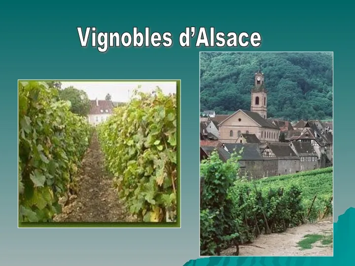 Vignobles d’Alsace