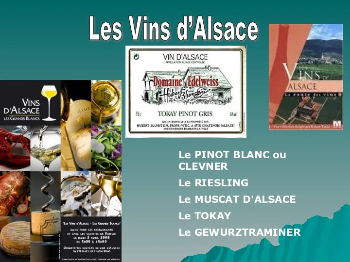 Les Vins d’Alsace Le PINOT BLANC ou CLEVNER Le RIESLING