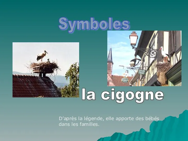 Symboles la cigogne D’après la légende, elle apporte des bébés dans les familles.