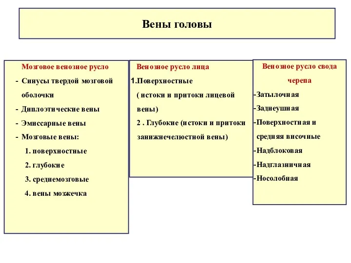 Мозговое венозное русло Синусы твердой мозговой оболочки Диплоэтические вены Эмиссарные