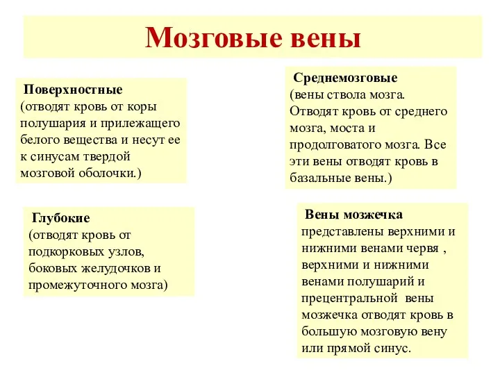 Мозговые вены Поверхностные (отводят кровь от коры полушария и прилежащего