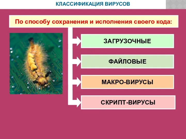 КЛАССИФИКАЦИЯ ВИРУСОВ По способу сохранения и исполнения своего кода: ЗАГРУЗОЧНЫЕ ФАЙЛОВЫЕ МАКРО-ВИРУСЫ СКРИПТ-ВИРУСЫ