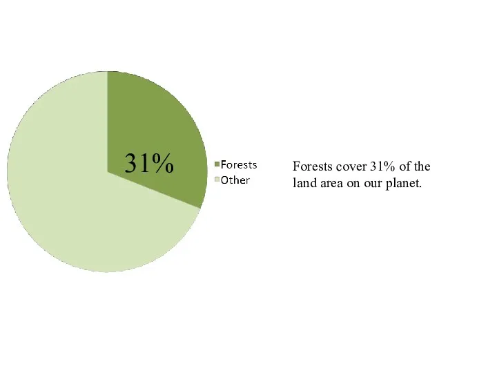 31% Forests cover 31% of the land area on our planet.