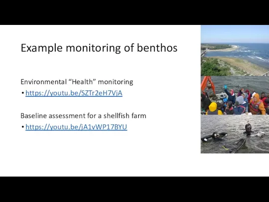 Example monitoring of benthos Environmental “Health” monitoring https://youtu.be/SZTr2eH7VjA Baseline assessment for a shellfish farm https://youtu.be/jA1vWP17BYU