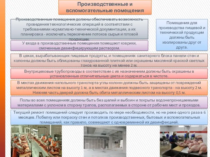 Производственные и вспомогательные помещения Производственные помещения должны обеспечивать возможность проведения