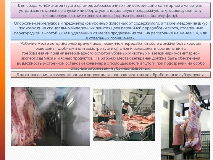 Для сбора конфискатов (туш и органов, забракованных при ветеринарно-санитарной экспертизе)