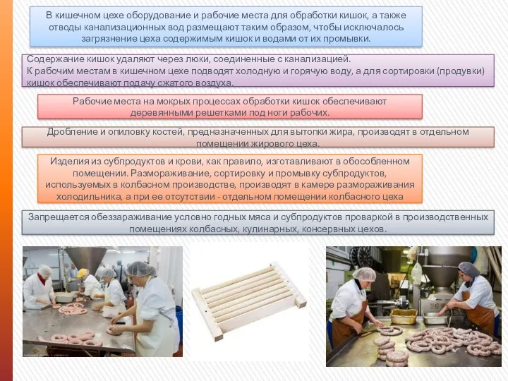 В кишечном цехе оборудование и рабочие места для обработки кишок,