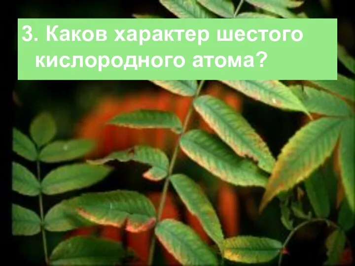 3. Каков характер шестого кислородного атома?