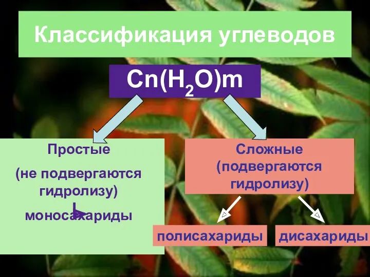 Классификация углеводов Сn(H2O)m Простые (не подвергаются гидролизу) моносахариды Сложные (подвергаются гидролизу) полисахариды дисахариды