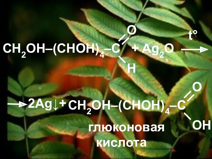 + Ag2O 2Ag↓+ t° глюконовая кислота