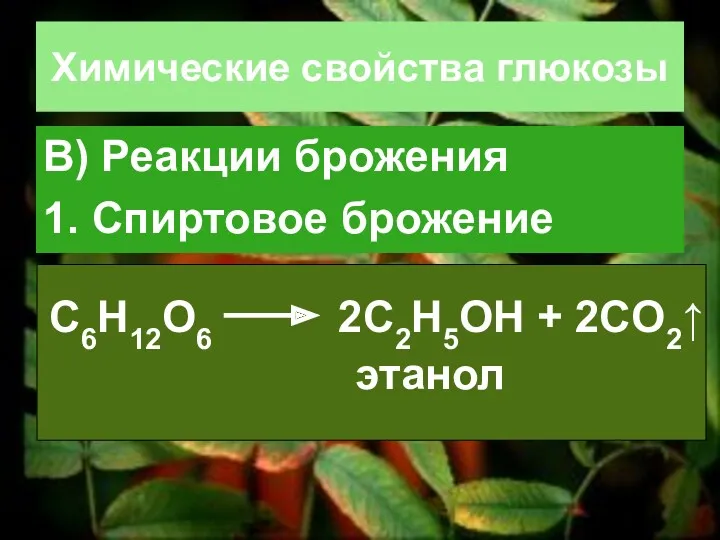 Химические свойства глюкозы В) Реакции брожения 1. Спиртовое брожение С6H12O6 2С2H5OH + 2CO2↑ этанол