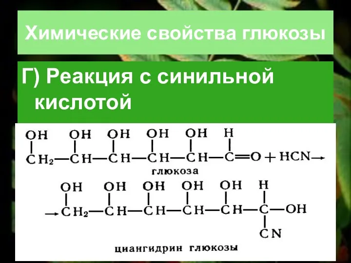 Химические свойства глюкозы Г) Реакция с синильной кислотой