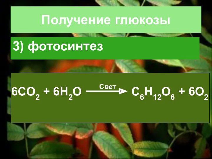 Получение глюкозы 3) фотосинтез 6СO2 + 6H2O C6H12O6 + 6O2 Свет