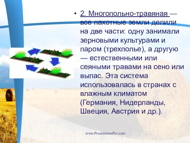 2. Многопольно-травяная — все пахотные земли делили на две части: