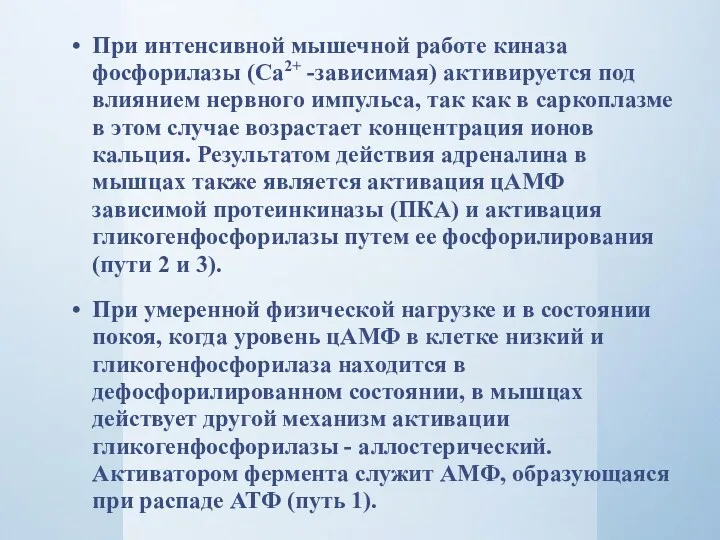 При интенсивной мышечной работе киназа фосфорилазы (Са2+ -зависимая) активируется под