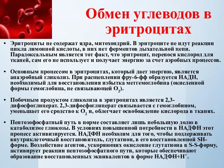 Обмен углеводов в эритроцитах Эритроциты не содержат ядра, митохондрий. В