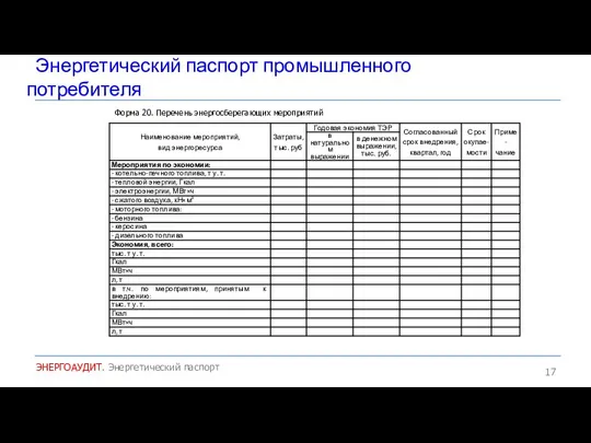 Энергетический паспорт промышленного потребителя ЭНЕРГОАУДИТ. Энергетический паспорт Форма 20. Перечень энергосберегающих мероприятий