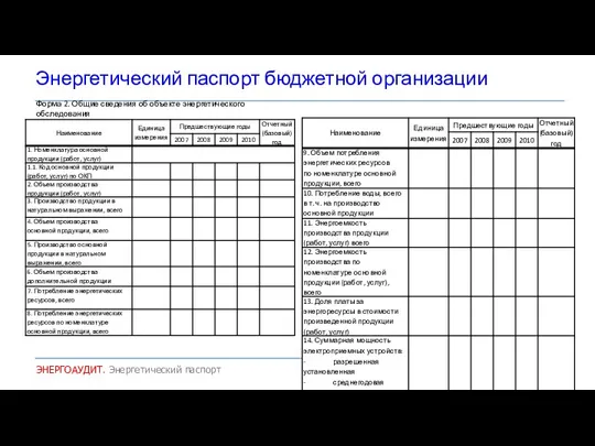 Энергетический паспорт бюджетной организации ЭНЕРГОАУДИТ. Энергетический паспорт Форма 2. Общие сведения об объекте энергетического обследования