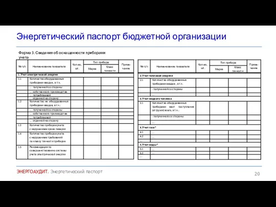 Энергетический паспорт бюджетной организации ЭНЕРГОАУДИТ. Энергетический паспорт Форма 3. Сведения об оснащенности приборами учета