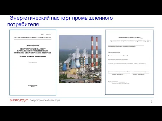 Энергетический паспорт промышленного потребителя ЭНЕРГОАУДИТ. Энергетический паспорт