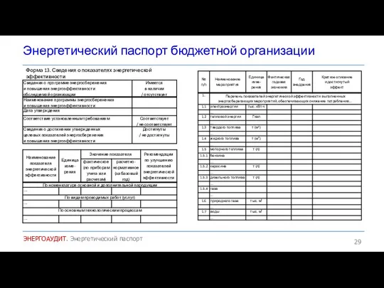 Энергетический паспорт бюджетной организации ЭНЕРГОАУДИТ. Энергетический паспорт Форма 13. Сведения о показателях энергетической эффективности