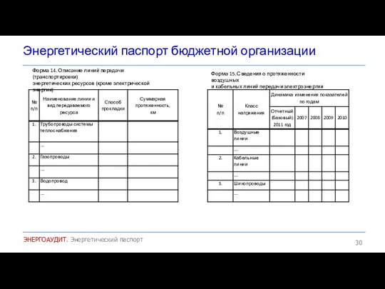 Энергетический паспорт бюджетной организации ЭНЕРГОАУДИТ. Энергетический паспорт Форма 14. Описание