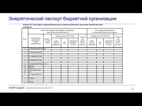 Энергетический паспорт бюджетной организации ЭНЕРГОАУДИТ. Энергетический паспорт Форма 20. Потенциал