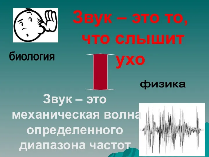 Звук – это механическая волна определенного диапазона частот биология физика