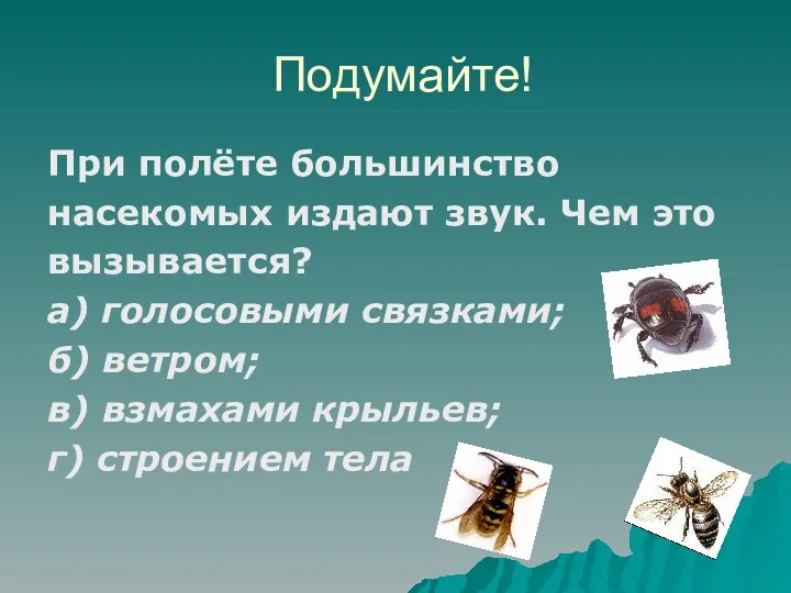 Подумайте! При полёте большинство насекомых издают звук. Чем это вызывается?