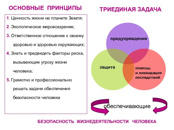 ОСНОВНЫЕ ПРИНЦИПЫ 1. Ценность жизни на планете Земля; 2. Экологическое