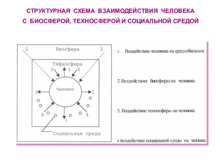 СТРУКТУРНАЯ СХЕМА ВЗАИМОДЕЙСТВИЯ ЧЕЛОВЕКА С БИОСФЕРОЙ, ТЕХНОСФЕРОЙ И СОЦИАЛЬНОЙ СРЕДОЙ