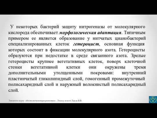 У некоторых бактерий защиту нитрогеназы от молекулярного кислорода обеспечивает морфологическая