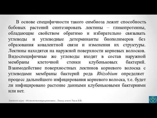 В основе специфичности такого симбиоза лежит способность бобовых растений синтезировать