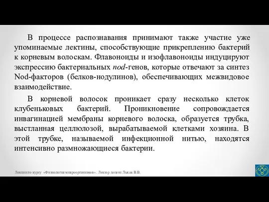 В процессе распознавания принимают также участие уже упоминаемые лектины, способствующие