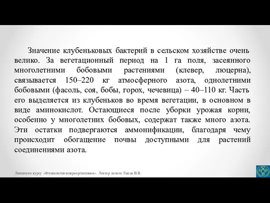 Значение клубеньковых бактерий в сельском хозяйстве очень велико. За вегетационный