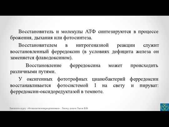 Восстановитель и молекулы АТФ синтезируются в процессе брожения, дыхания или