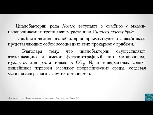 Цианобактерии рода Nostoc вступают в симбиоз с мхами-печеночниками и тропическим