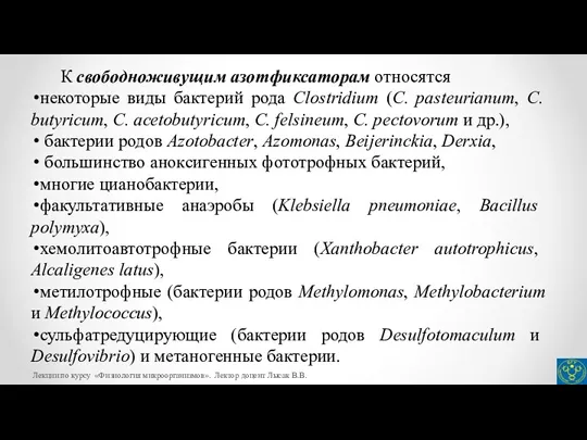 К свободноживущим азотфиксаторам относятся некоторые виды бактерий рода Clostridium (C.