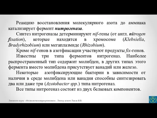 Реакцию восстановления молекулярного азота до аммиака катализирует фермент нитрогеназа. Синтез