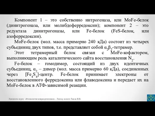 Компонент 1 – это собственно нитрогеназа, или MoFe-белок (динитрогеназа, или