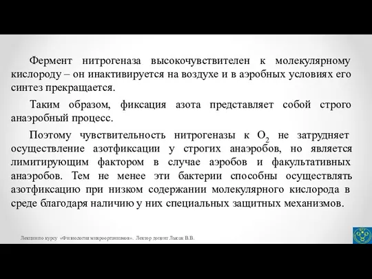 Фермент нитрогеназа высокочувствителен к молекулярному кислороду – он инактивируется на