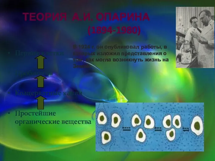 ТЕОРИЯ А.И. ОПАРИНА (1894-1980) Первые клетки Пробионты Коацерватные капли Простейшие