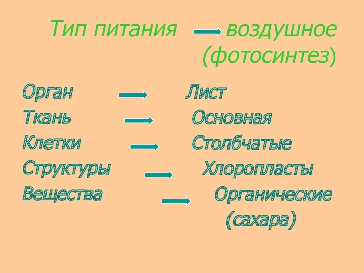 Тип питания воздушное (фотосинтез) Орган Ткань Клетки Структуры Вещества Лист Основная Столбчатые Хлоропласты Органические (сахара)