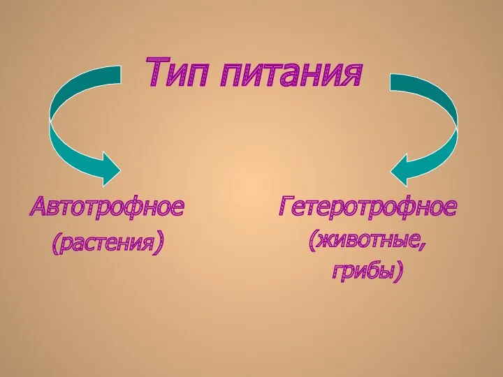 Тип питания Автотрофное (растения) Гетеротрофное (животные, грибы)