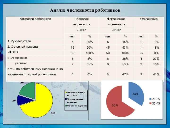 Анализ численности работников