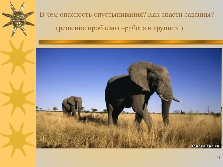 В чем опасность опустынивания? Как спасти саванны? (решение проблемы –работа в группах )