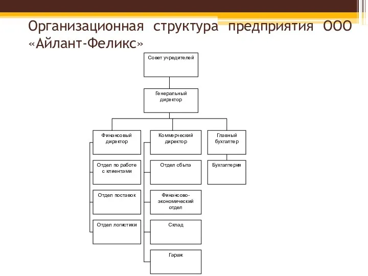 Организационная структура предприятия ООО «Айлант-Феликс»