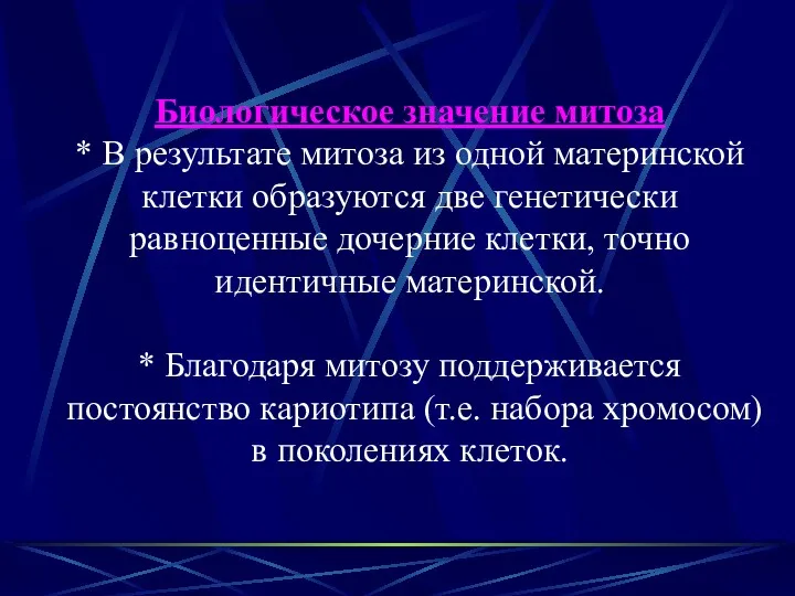 Биологическое значение митоза * В результате митоза из одной материнской