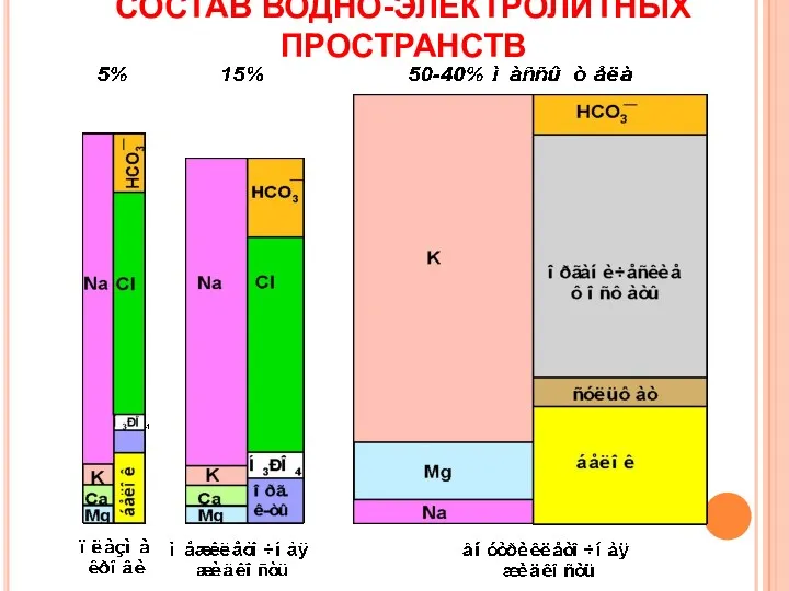 СОСТАВ ВОДНО-ЭЛЕКТРОЛИТНЫХ ПРОСТРАНСТВ