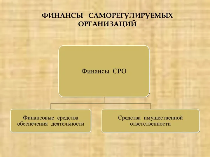 ФИНАНСЫ САМОРЕГУЛИРУЕМЫХ ОРГАНИЗАЦИЙ